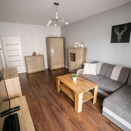 Nullo 3-Bedroom Apartment كراكوفيا المظهر الخارجي الصورة